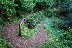 billstrail