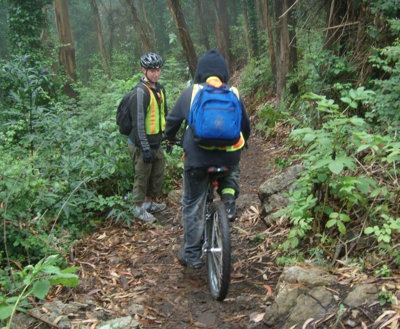 Downtrail