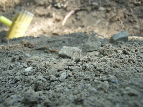 1Close to Dirt 1Close to Dirt