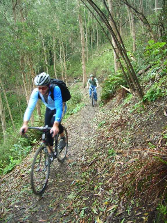 Sutro Trail